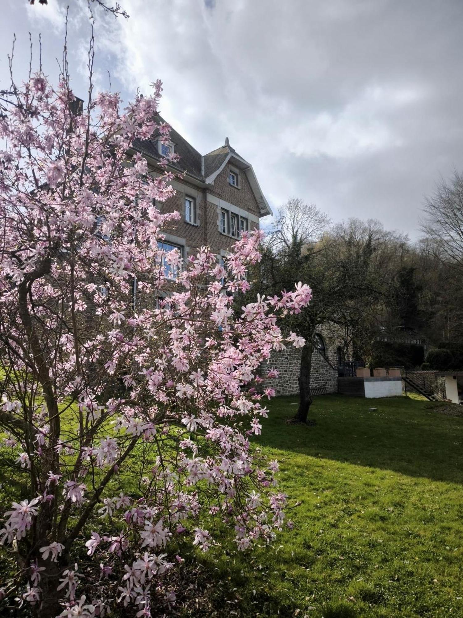 Le Castel Mosan Namur Exterior foto